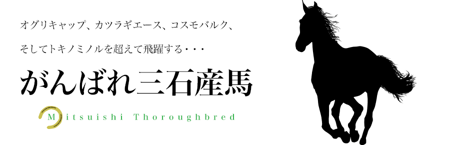 軽種馬　オグリキャップ、カツラギエース、コスモバルク、そしてトキノミノルを超えて飛躍する・・・がんばれ三石産馬