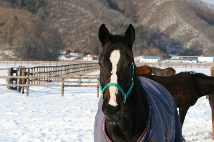 2013.2.12　中田写真 060