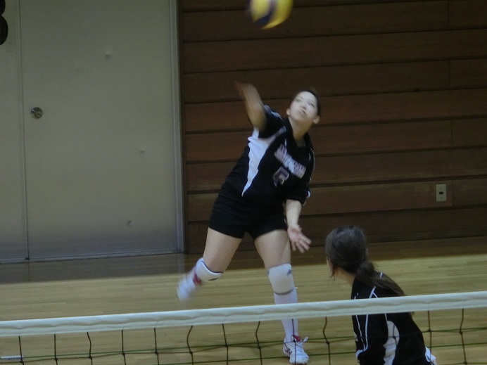 javolleyball