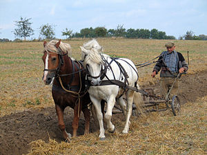 Farmer_plowing_in_Fahrenwalde,_Mecklenburg-Vorpommern,_Germany (1)