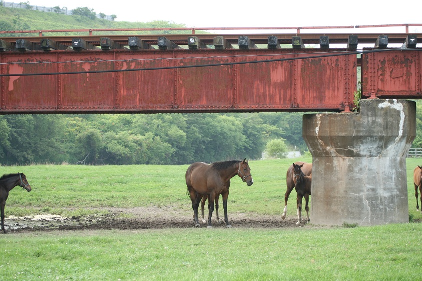 山際牧場線路下馬