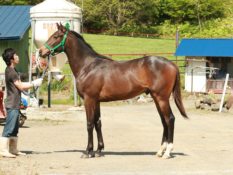 城地清満　ｻﾑｼﾝｸﾞﾅｲｽ24