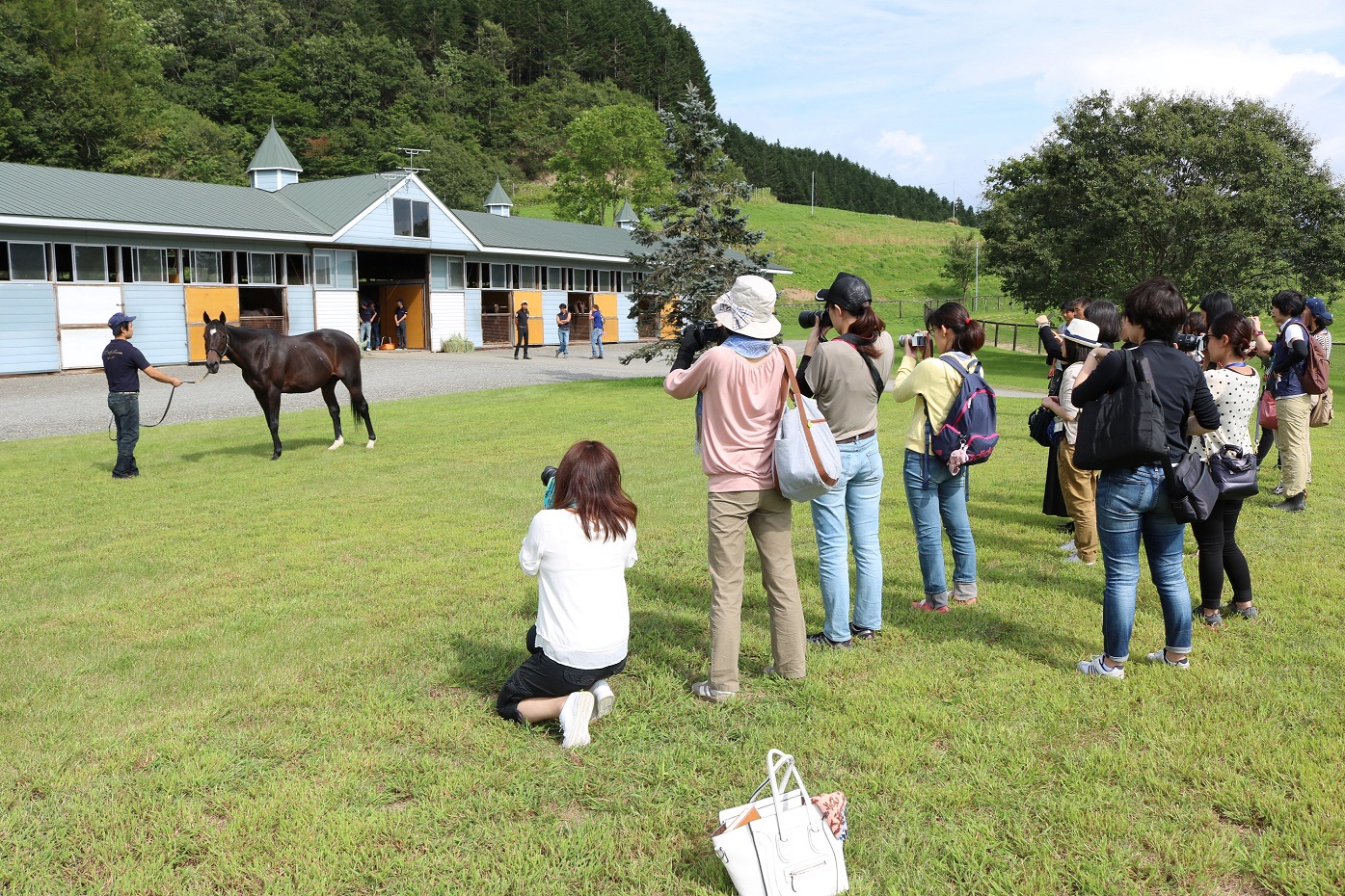 mailKIFﾌﾞﾗｯｻﾑ展示