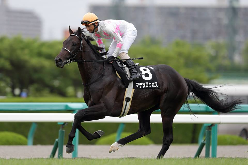 20150607マテンロウボス1
