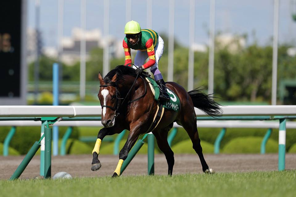20150606トウケイヘイロー2