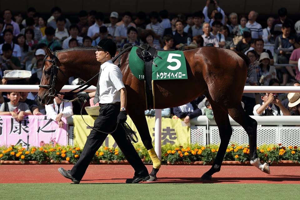 20150606トウケイヘイロー