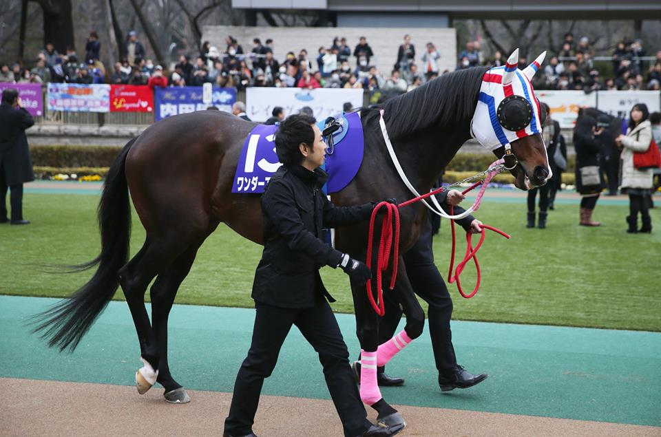 20150223ワンダーアキュートFBフェブラリーS