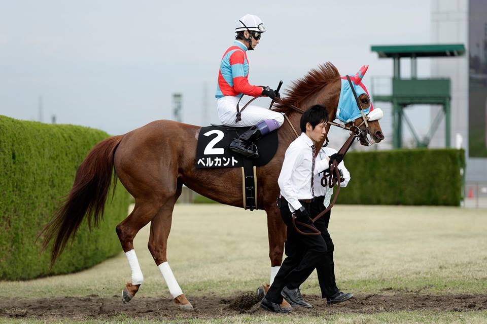 HP20150404ベルカント1