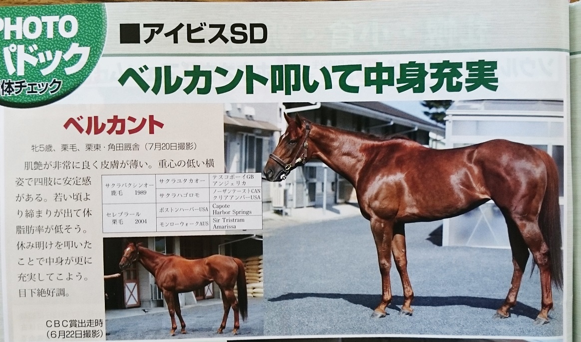 HPﾍﾞﾙｶﾝﾄｱｲﾋﾞｽSD