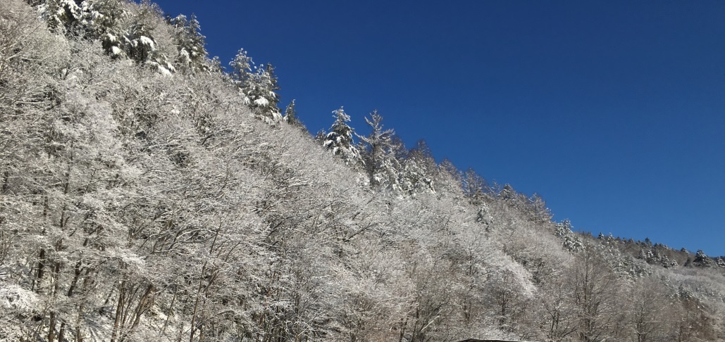 20161229blog1