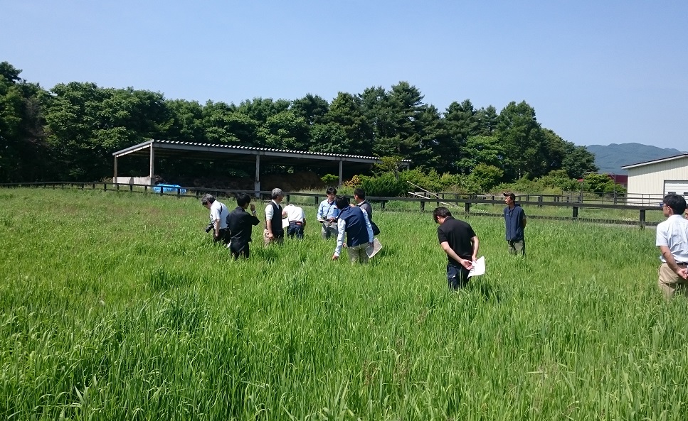 ケンブル研修会 ７月第１週 ｊｒａ重賞競走 三石産馬出走情報 Jaみついし