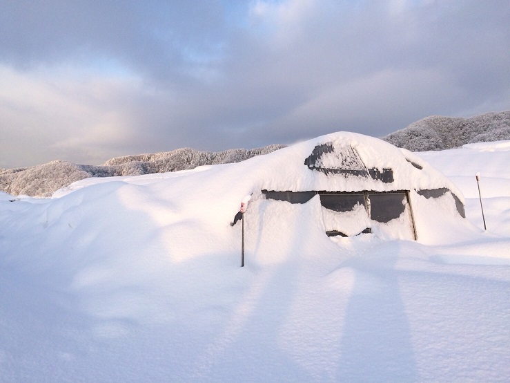 ハウス大雪