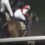 【速報】第34回ブリーダーズゴールドカップJpnⅢ　金舛牧場生産馬　グランブリッジ号が優勝！！