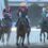 【速報】第26回TCK女王盃JpnⅢ　金舛牧場生産馬　グランブリッジ号が優勝！