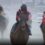 【速報】第69回エンプレス杯JpnⅡ　金舛牧場生産馬　グランブリッジ号が優勝し重賞連勝！！