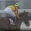 【速報】第24回兵庫チャンピオンシップJpnⅡ　築紫洋牧場生産馬　ミトノオー号が優勝し重賞初制覇！！
