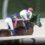 【速報】第23回サンライズカップＨ１　田中春美牧場生産馬　パッションクライ号が優勝し重賞初制覇！！