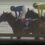 【速報】第40回東京湾カップSⅡ　沖田忠幸牧場生産馬　ララメテオ号が優勝！！
