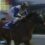 【速報】第30回さきたま杯JpnⅠ　ケイアイファーム生産馬　ロードフォンス号が優勝！！