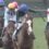 【速報】第58回 函館2歳ステークスGⅢ　前田ファーム生産馬　フェリチタ号が重賞初制覇！！